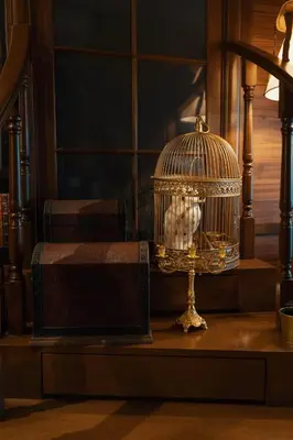 a bird in a bird cage on a table at Wizarding Residence near KLCC link LRT & Mall in Kuala Lumpur