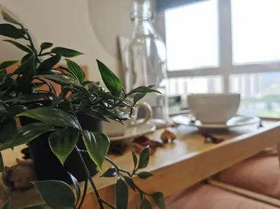 a plant sitting next to a wooden table with a coffeeucer at Una Serviced Apartment, Jalan Peel by Rverse Suite in Kuala Lumpur