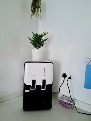a potted plant sitting on top of a table at Best Affordable Homestay, Arte Mont Kiara, KL in Kuala Lumpur