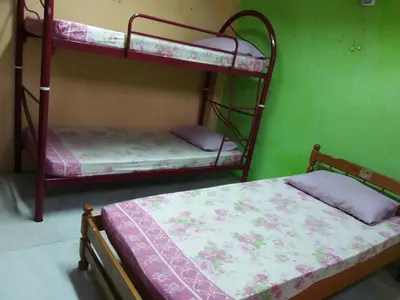 two bunk beds in a room with a green wall at Oasis Guest House in Kuala Lumpur