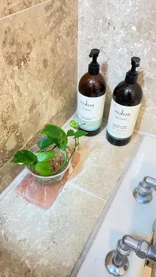 two bottles of soap and a plant on a sink at Townhouse in KLCC Vicinity in Kuala Lumpur