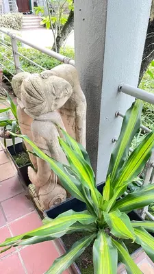 a stone statue of a cat sitting on a porch at Townhouse in KLCC Vicinity in Kuala Lumpur