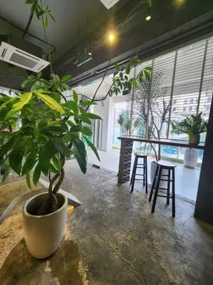 a large potted plant in a room with a table and chairs at KL Dorsett Damas Urban Garden Suite-F-Parking, Self C-In in Kuala Lumpur
