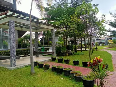 a row of plotted plants in a park at KL2-4pax studio nr KTM&Midvalley in Kuala Lumpur