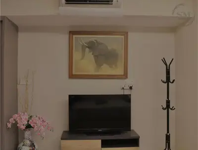 a television in a living room with a picture of an elephant at Dorsett Residences Hartamas in Kuala Lumpur