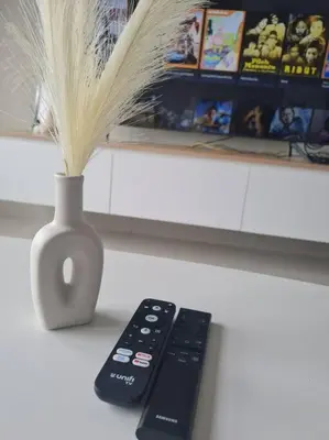 a remote control and a vase with feathers in it at KL View 3BedRoom 2carpark MRT Station Cheras Maluri FreeWifi C41 in Kuala Lumpur