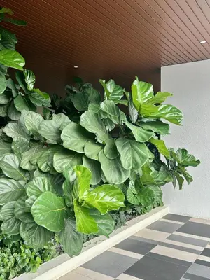 a retaining wall with green plants in a building at KL Central 33rd Floor KLCC view in Kuala Lumpur