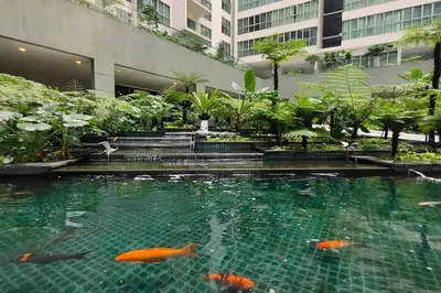 a pool of water with koi in a building at Immersed in the warmth and natural ambience in Kuala Lumpur