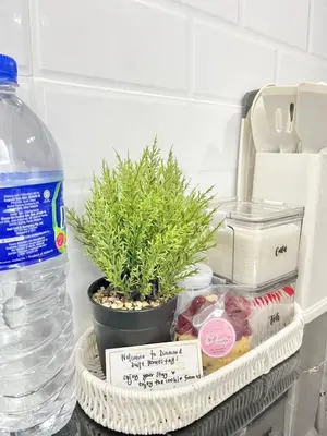 a plant in a basket next to a bottle of water at Diamond Suite Homestay in Kuala Lumpur