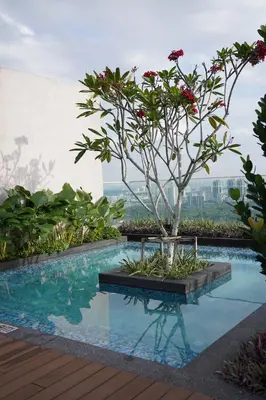 a bonsai tree sitting next to a swimming pool at Riveria City, Kl Sentral Studio Apartment near Monorail, Infinity Pool in Kuala Lumpur
