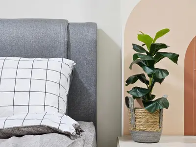 a plant in a basket sitting next to a bed at Bukit Bintang Fahrenheit #113 KLCC Kuala Lumpur in Kuala Lumpur