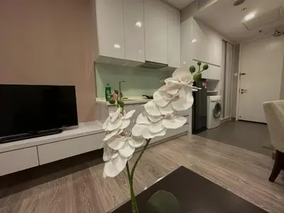 a white flower in the middle of a living room at 1Bukit ceylon view 118 in Kuala Lumpur