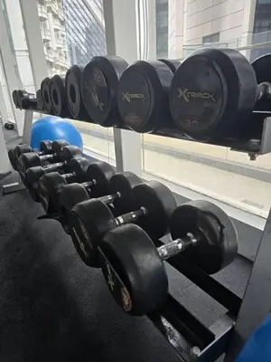 a row of dumbbells on a rack in a gym at Binjai 8 KLCC in Kuala Lumpur
