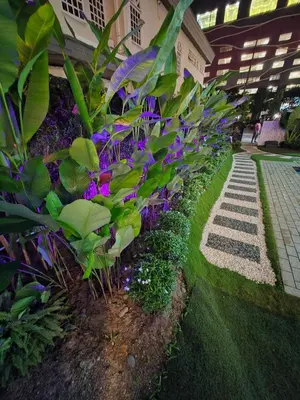 a garden with purple flowers and a walkway at Bungalow Perkasa in Kuala Lumpur