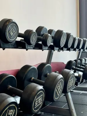 a row of dumbbells on display in a gym at The BirdsEye View facing KLCC with Gorgeous pools in Kuala Lumpur
