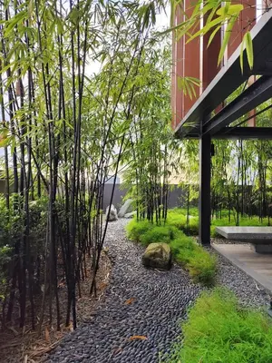 a walkway with trees in front of a building at Lucentia Residence, Bukit Bintang City Centre in Kuala Lumpur