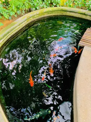 a pond filled with kites in a garden at The Mews Suites KLCC By Luna in Kuala Lumpur