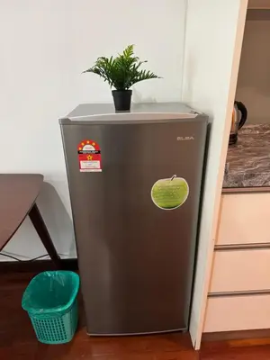 a small refrigerator with a plant on top of it at Casa residency by relaxhome in Kuala Lumpur
