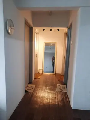 a hallway with a dog looking into a mirror at Homestay Lala in Kuala Lumpur