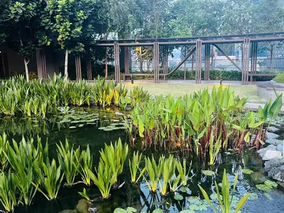 a pond with plants and a bridge in the background at Axon Residence Bukit Bintang by Comfort Stay in Kuala Lumpur