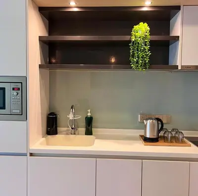 a kitchen counter with a sink and a plant on a shelf at The Calma, Platinum Suites 2 BR in Kuala Lumpur