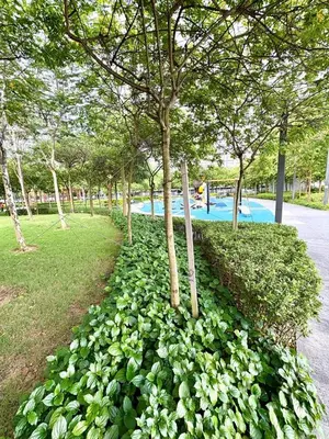 a group of trees in a park with flowers at M Vertica Homestay in Kuala Lumpur