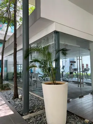 a plant in a large white pot in front of a building at Mercu summer suits 1BR luxury couple room free Netflix 5mint WD KLCC by Top R in Kuala Lumpur