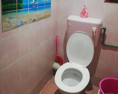 a bathroom with a toilet with a pink brush at Zam Zam Homestay in Kuala Lumpur