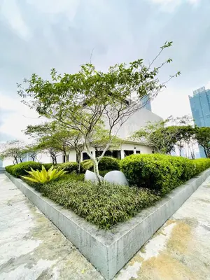 a tree in a planter in front of a building at KLCC Service Suites at Mews in Kuala Lumpur