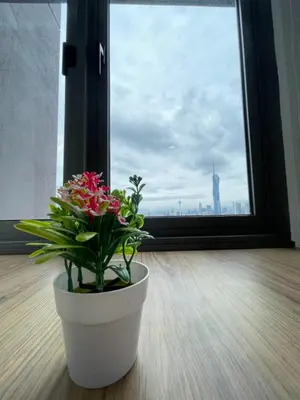 a potted plant sitting in front of a window at The Riv Riveria City KL Sentral Kuala Lumpur by Nestaway in Kuala Lumpur