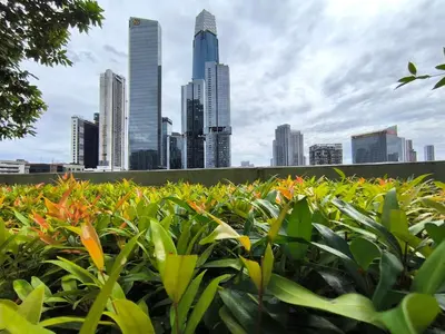 a hedge of plants in front of a city skyline at Sky View Agile Residence Bukit Bintang KL in Kuala Lumpur