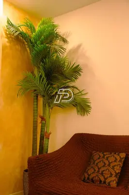 two palm trees in a room with a couch at KL Hartamas 1BR, Mall Link, Wifi Smart TV in Kuala Lumpur