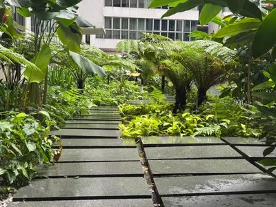 a garden with plants and trees and a building at Regalia KLCC Pavilion Ceylon Jalan Alor 8 PAX 2R2B in Kuala Lumpur