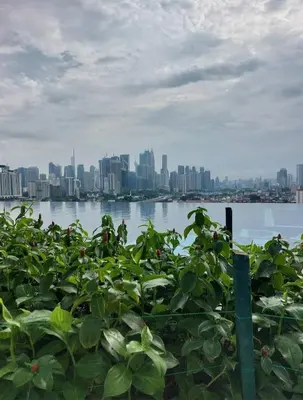 a view of a city from the water with plants at Datum Jelatek SKY Ring in Kuala Lumpur