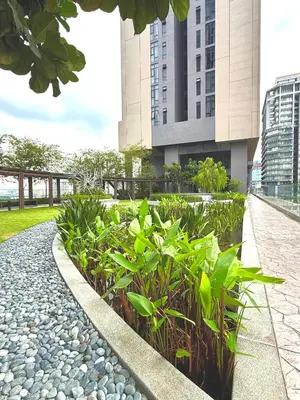a garden with plants in front of a building at LUXURY AXON SUITES KLCC PAVILION At BUKIT BINTANG in Kuala Lumpur