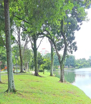 a group of trees in a park next to a lake at Arte Plus KLCC Family Studio Apartment Kuala Lumpur in Kuala Lumpur