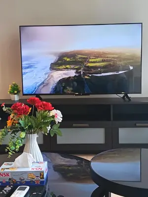 a living room with a television with a vase of flowers at Rahmans Care At Star Residence KLCC in Kuala Lumpur