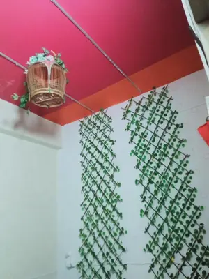 a room with a bunch of green plants on a wall at Birdnest Guesthouse, Gaia Rooftop Cafe in Kuala Lumpur