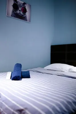 a bed with a blue blanket and a cat wearing glasses at Soho Suites KLCC by Alucard's Cat in Kuala Lumpur