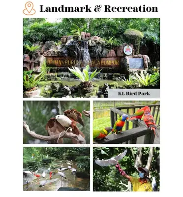 a collage of pictures of birds in a park at The Peak - Bangsar South Mid Valley in Kuala Lumpur