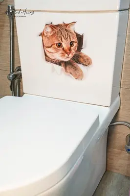a cat peeking out of a white drawer at TR Residence WTC Titiwangsa Monorail MRT Station KLCC HKL IJM Bukit Bintang in Kuala Lumpur
