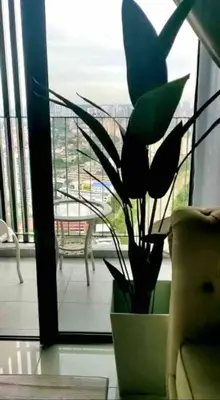 a plant in a vase on a table next to a window at Millerz Suite 3R2B Condo Near MidValley 3 Beds 3 Bedrooms Staycation Best Choice in Kuala Lumpur