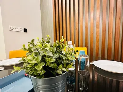a potted plant sitting on top of a table at Tropicana The Residence Klcc By Sky World in Kuala Lumpur