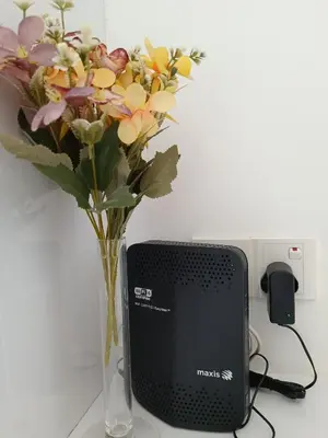 a vase of flowers sitting next to a speaker at RM020 Bukit Bintang 118 Tower Balcony View in Kuala Lumpur